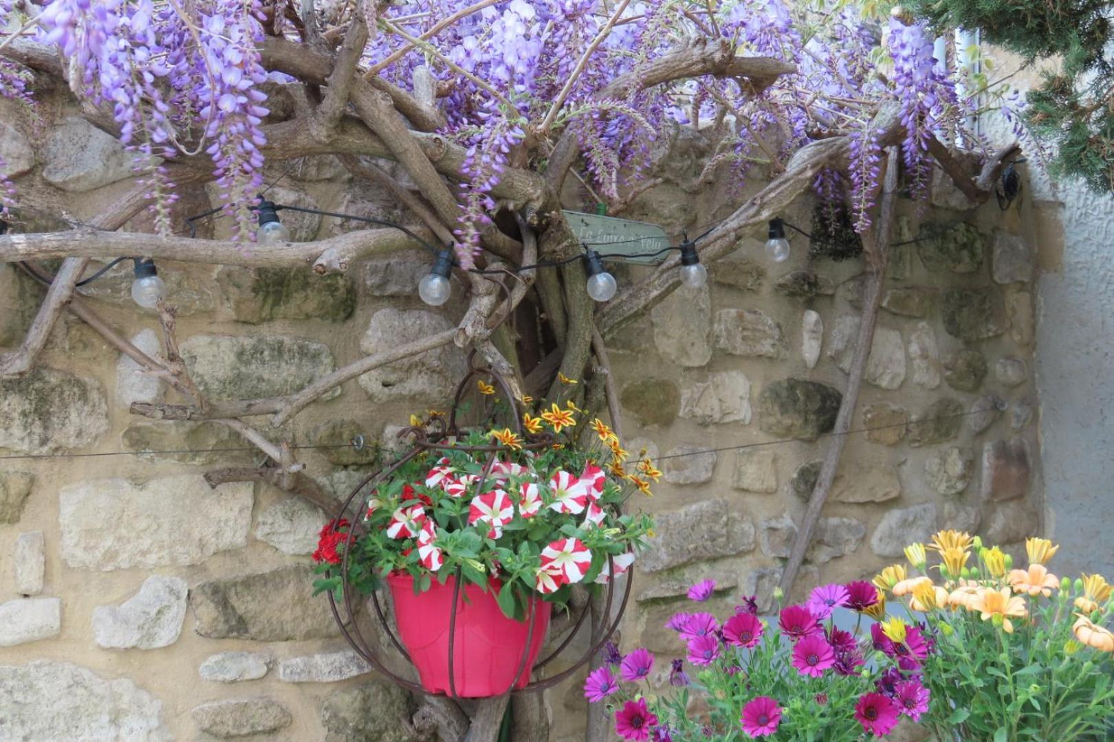 La Maison Wisteria Saint-Pantaléon-les-Vignes Exterior photo